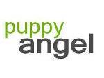 Puppy Angel
