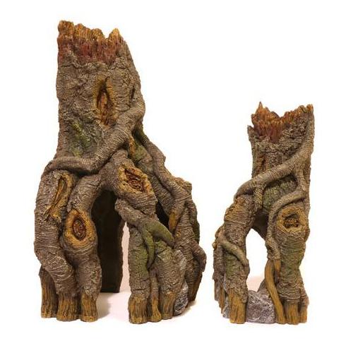 Rohový rozvětvený kořen malý