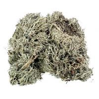 Terrun Mech Island přírodní 50 g