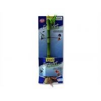 Rostlina Asian Bamboo M