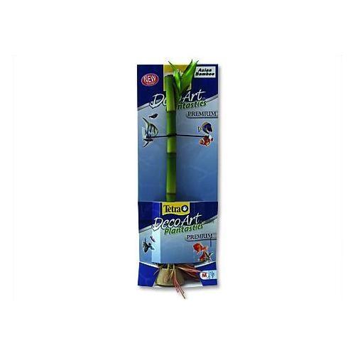 Rostlina Asian Bamboo M