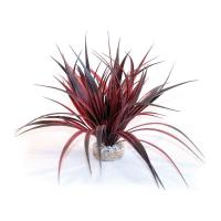 Sydeco Amazonia 22 cm