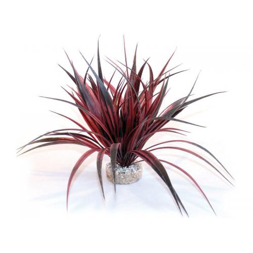 Sydeco Amazonia 22 cm