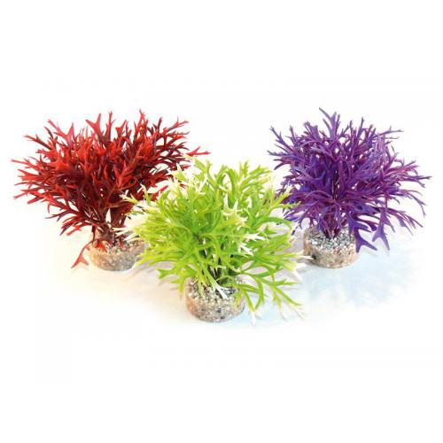 Sydeco Water Fern Flexible 25 cm - zelená