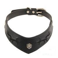 Puppia Cooper obojek XL