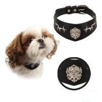 Puppia Cooper obojek XL