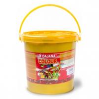 Dajana Colour 10l