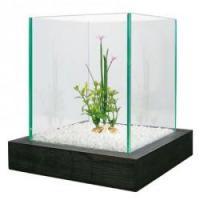 Zolux akvárium Aqua Bamboo Cube