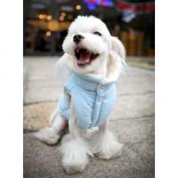 Puppy Angel vesta Milky Padded Vest modrá