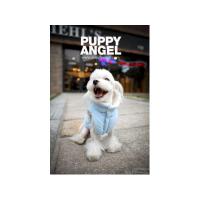 Puppy Angel vesta Milky Padded Vest modrá