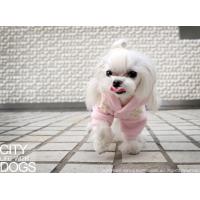 Puppy Angel běžecká souprava Baby Jogging Suit růžová