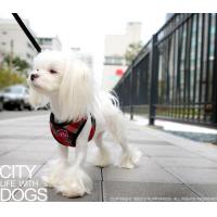 Puppy Angel Checky Fasteny kšíry - červené