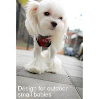 Puppy Angel Checky Fasteny kšíry - červené