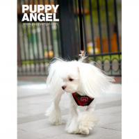 Puppy Angel Checky Fasteny kšíry - červené