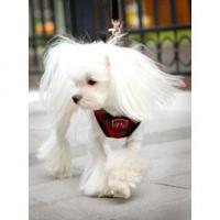 Puppy Angel Checky Fasteny kšíry - červené