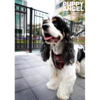 Puppy Angel Checky Comfy kšíry - červené