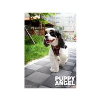 Puppy Angel Checky Comfy kšíry - červené