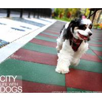 Puppy Angel Checky Comfy kšíry - červené