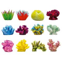 Mini Coral Atlantic Anemone 1 - Caribbean