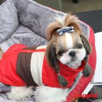 Puppia vesta Peppy - červená