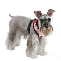 Puppia Flame kšíry - S