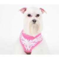 Puppia Flame kšíry - M