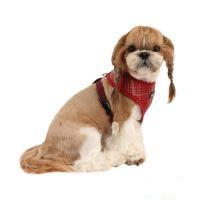 Puppia Cyberspace Harness A kšíry červená