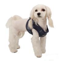 Puppia Cyberspace Harness B kšíry námořnická modrá