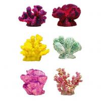 Rosewood Mini Coral sada 6 ks