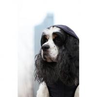 Puppy Angel BIMANE URBAN OUTDOOR pláštěnka - tmavá námořnická modrá