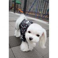 Puppy Angel BIONNE URBAN OUTDOOR pláštěnka - kombinéza - tmavá námořnická modrá