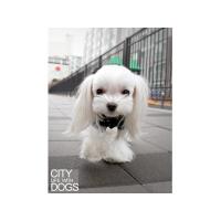 Puppy Angel BIONNE URBAN OUTDOOR pláštěnka - kombinéza - tmavá námořnická modrá