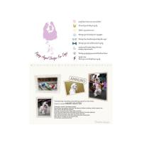 Puppy Angel psí svetr Kay EPENNE Hoodie - námořnická modrá