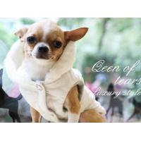 Is Pet Crystal Queen bunda červená