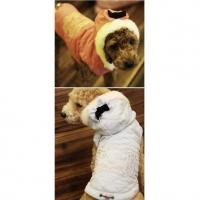 Is Pet Crystal Queen bunda červená