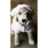 Is Pet Animal costume overal růžová