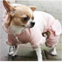 Is Pet Elisa Ribbon overal bílá