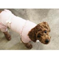 Is Pet Vivian overal hnědá