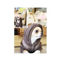 Is Pet Winter Mushroom overal hnědá