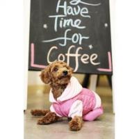 Is Pet Winter Mushroom overal hnědá