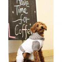 Is Pet Winter Mushroom overal růžová