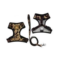 Is Pet For Elysia kšíry leopardí