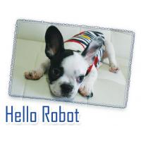 Dog Pose Hello Robot tričko červená