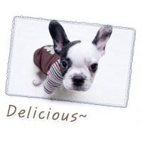 Dog Pose Delicious tričko žlutá