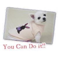 Dog Pose You Can Do It mikina ivory