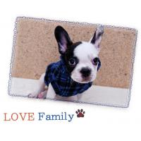 Dog Pose Love Family mikina modrá