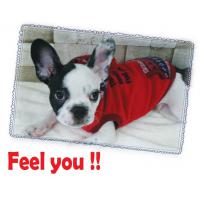 Dog Pose Feel You Knit mikina šedá