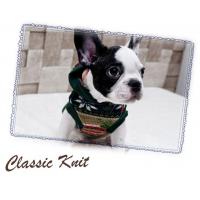 Dog Pose Classic Knit svetr červená