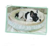 Dog Pose Princess circle pelíšek mentolová