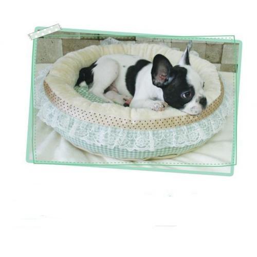 Dog Pose Princess circle pelíšek mentolová